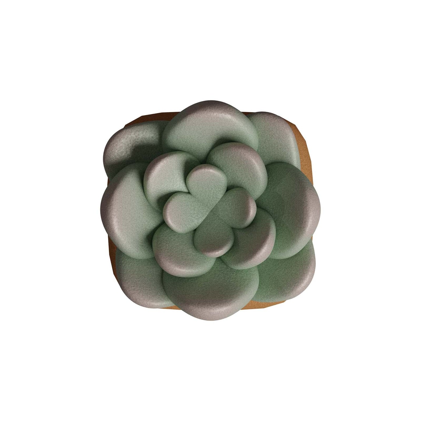 HX3D Keycap - Sally the Succulent
